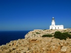 Cavalleria